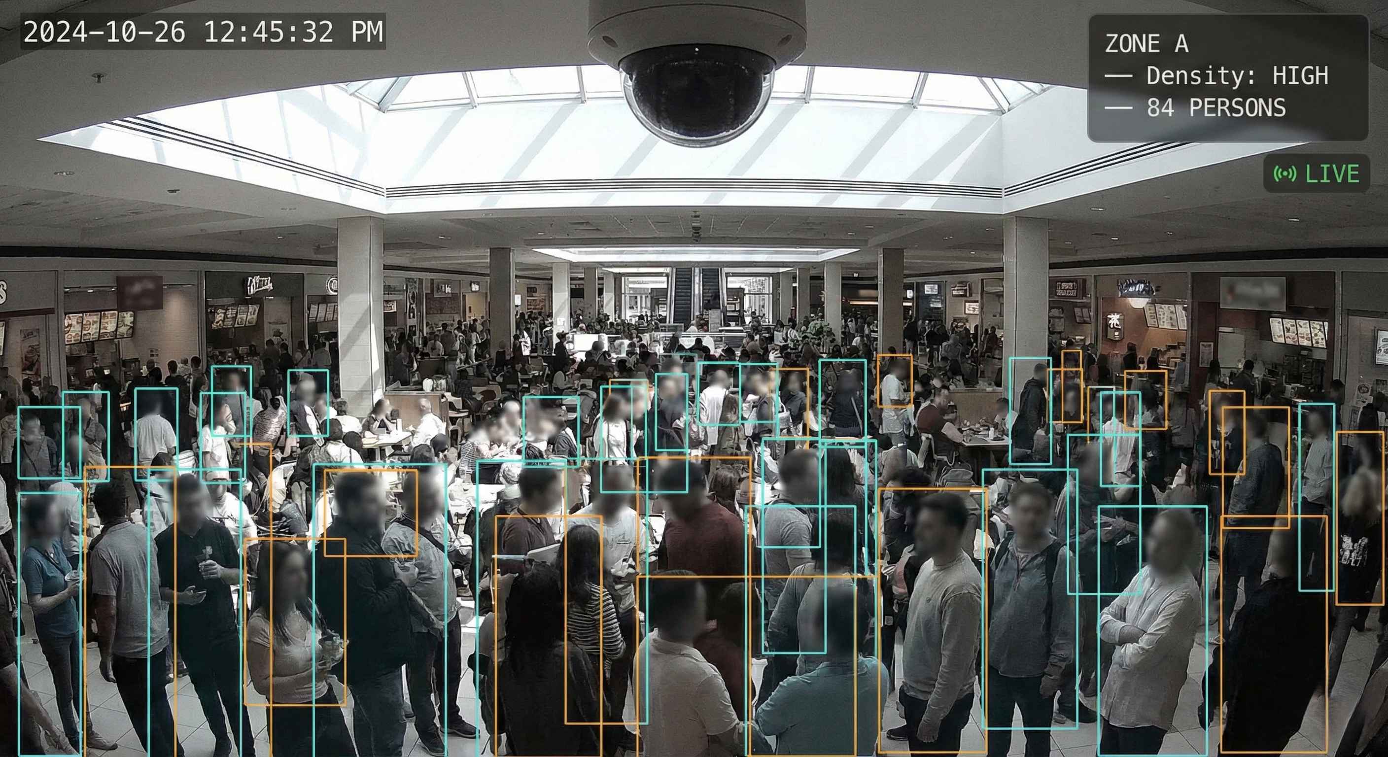 Crowd Detection